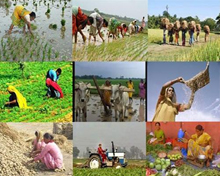 Bihar Agriculture