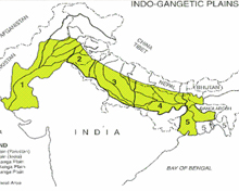 Indo Gangetic Plain Bihar