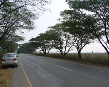 Telangana State Highway