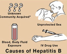 hepatitis-causes