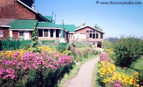 Kashmir hotels,hotels in Kashmir